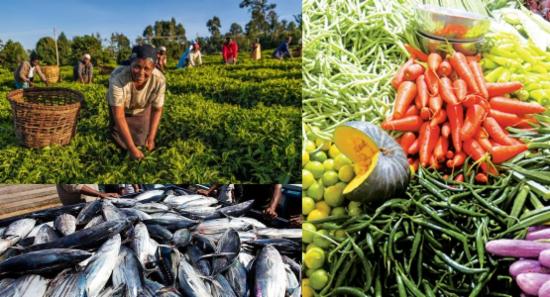 Agriculture Sector Faces Mixed Fortunes: CBSL